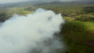 Bosbranden Indonesie